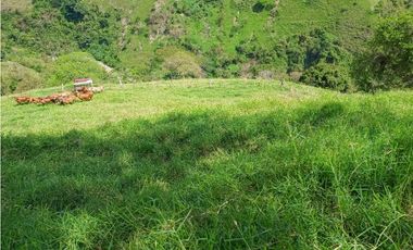 VENTA FINCA AMAGA suroeste antioqueño