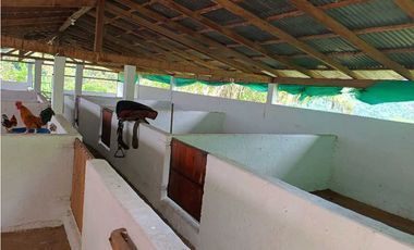 VENTA FINCA AMAGA suroeste antioqueño