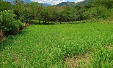 VENTA FINCA AMAGA suroeste antioqueño