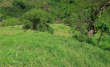 VENTA FINCA AMAGA suroeste antioqueño