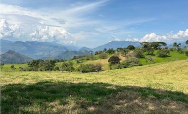VENTA DE LOTE EN TARSO SUROESTE DE ANTIOQUIA