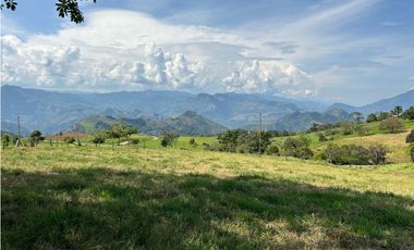 VENTA DE LOTE EN TARSO SUROESTE DE ANTIOQUIA