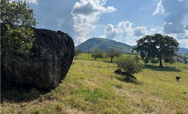 VENTA DE LOTE EN TARSO SUROESTE DE ANTIOQUIA