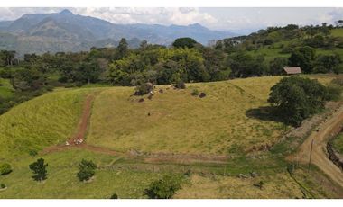 VENTA DE LOTE EN TARSO SUROESTE DE ANTIOQUIA