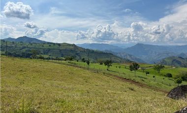 VENTA DE LOTE EN TARSO SUROESTE DE ANTIOQUIA