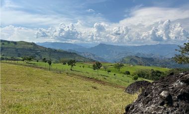 VENTA DE LOTE EN TARSO SUROESTE DE ANTIOQUIA