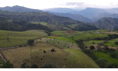 VENTA DE LOTE EN TARSO SUROESTE DE ANTIOQUIA