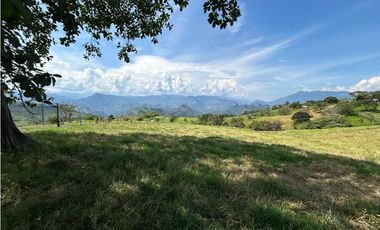 VENTA DE LOTE EN TARSO SUROESTE DE ANTIOQUIA