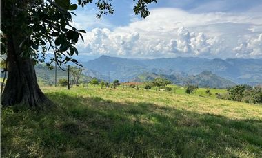 VENTA DE LOTE EN TARSO SUROESTE DE ANTIOQUIA