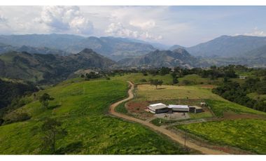 VENTA DE LOTE EN TARSO SUROESTE DE ANTIOQUIA