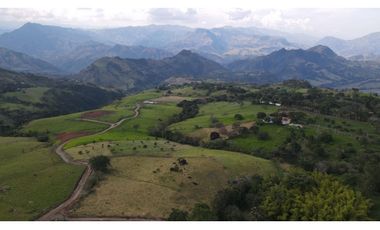 VENTA DE LOTE EN TARSO SUROESTE DE ANTIOQUIA