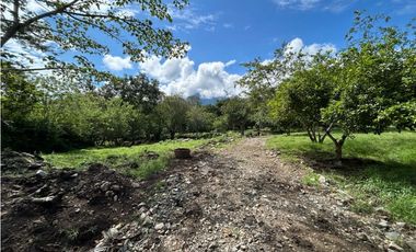 VENTA DE LOTE EN TARSO SUROESTE DE ANTIOQUIA