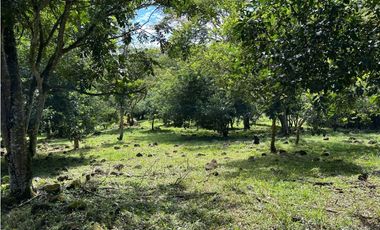 VENTA DE LOTE EN TARSO SUROESTE DE ANTIOQUIA