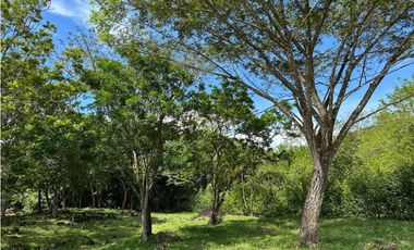 VENTA DE LOTE EN TARSO SUROESTE DE ANTIOQUIA