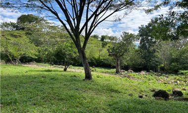 VENTA DE LOTE EN TARSO SUROESTE DE ANTIOQUIA