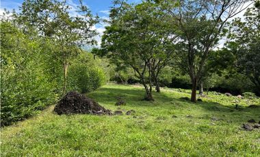 VENTA DE LOTE EN TARSO SUROESTE DE ANTIOQUIA