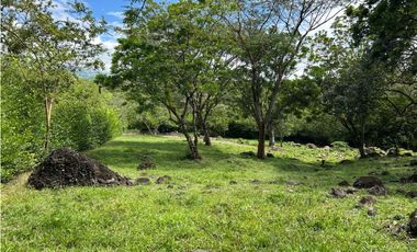 VENTA DE LOTE EN TARSO SUROESTE DE ANTIOQUIA