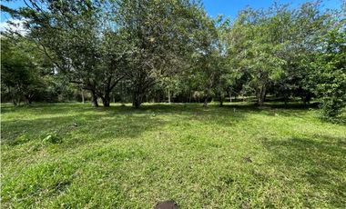 VENTA DE LOTE EN TARSO SUROESTE DE ANTIOQUIA