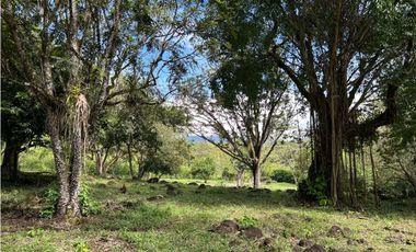 VENTA DE LOTE EN TARSO SUROESTE DE ANTIOQUIA