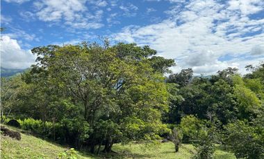 VENTA DE LOTE EN TARSO SUROESTE DE ANTIOQUIA