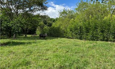 VENTA DE LOTE EN TARSO SUROESTE DE ANTIOQUIA