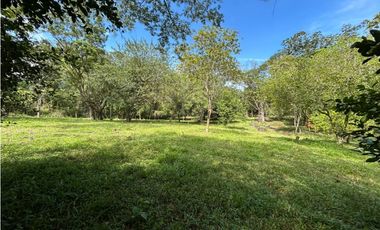 VENTA DE LOTE EN TARSO SUROESTE DE ANTIOQUIA