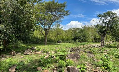 VENTA DE LOTE EN TARSO SUROESTE DE ANTIOQUIA