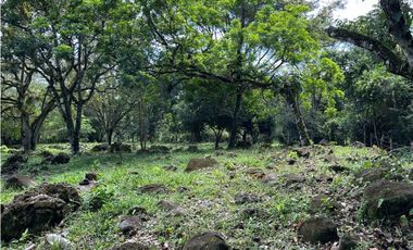 VENTA DE LOTE EN TARSO SUROESTE DE ANTIOQUIA