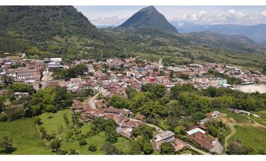 Venta de finca en venecia suroeste de Antioquia