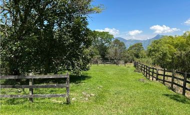 Venta de finca en venecia suroeste de Antioquia