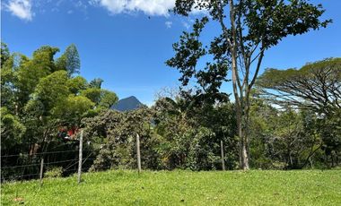 Venta de finca en venecia suroeste de Antioquia