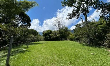 Venta de finca en venecia suroeste de Antioquia