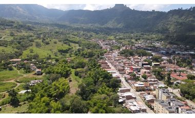 Venta de finca en venecia suroeste de Antioquia
