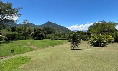 VENTA DE FINCA EN VENECIA SUROESTE ANTIOQUEÑO