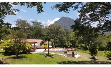 VENTA DE FINCA EN VENECIA SUROESTE ANTIOQUEÑO