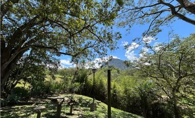 VENTA DE FINCA EN VENECIA SUROESTE ANTIOQUEÑO