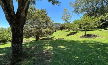 VENTA DE FINCA EN VENECIA SUROESTE ANTIOQUEÑO