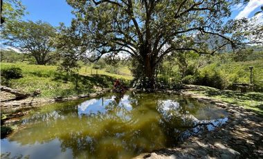 VENTA DE FINCA EN VENECIA SUROESTE ANTIOQUEÑO