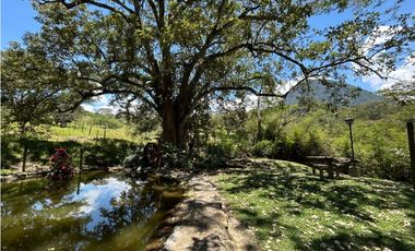 VENTA DE FINCA EN VENECIA SUROESTE ANTIOQUEÑO
