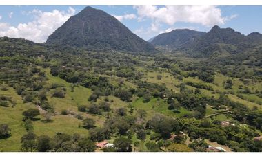 VENTA DE FINCA EN VENECIA SUROESTE ANTIOQUEÑO