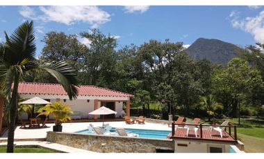 VENTA DE FINCA EN VENECIA SUROESTE ANTIOQUEÑO