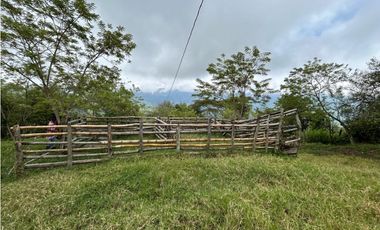 VENTA DE FINCA EN FREDONIA SUROESTE ANTIOQUEÑO