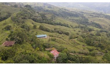 VENTA DE FINCA EN FREDONIA SUROESTE ANTIOQUEÑO