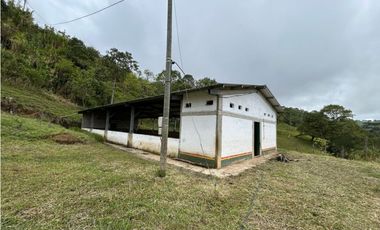 VENTA DE FINCA EN FREDONIA SUROESTE ANTIOQUEÑO
