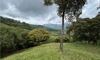 VENTA DE FINCA EN FREDONIA SUROESTE ANTIOQUEÑO