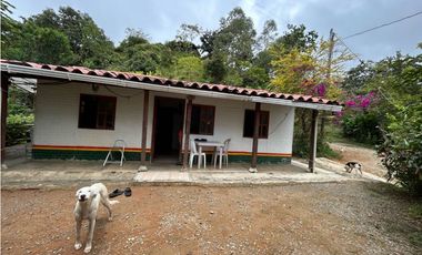 VENTA DE FINCA EN FREDONIA SUROESTE ANTIOQUEÑO