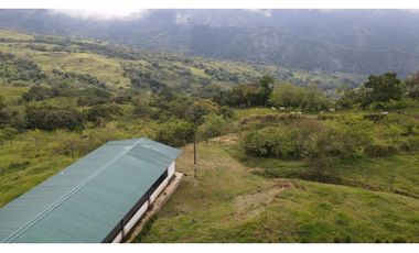 VENTA DE FINCA EN FREDONIA SUROESTE ANTIOQUEÑO