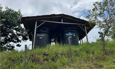 VENTA DE FINCA EN FREDONIA SUROESTE ANTIOQUEÑO