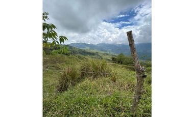 VENTA DE FINCA EN FREDONIA SUROESTE ANTIOQUEÑO