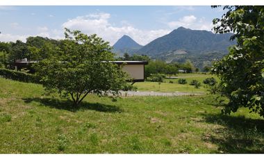 VENTA DE LOTE EN TARSO SUROESTE ANTIOQUEÑO